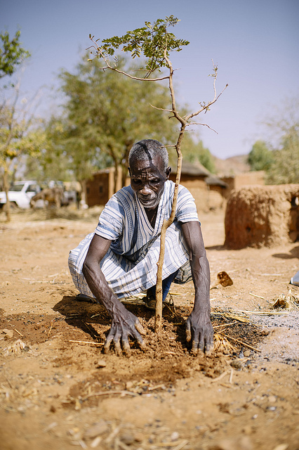 A farmer in Burkina Faso. Photo: Ollivier Girard for Center for International Forestry Research (CIFOR