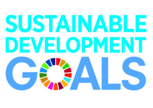 Sustainable Development Goals Square Text Logo, color wheel as O in goals